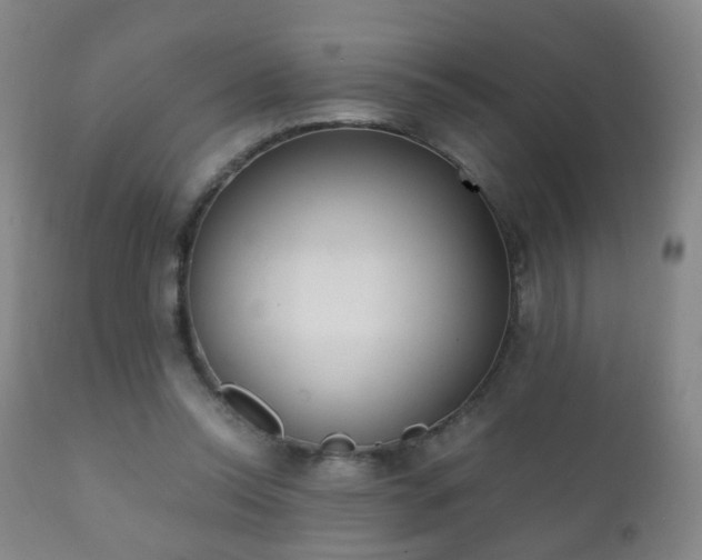 X0000112410350200908211127