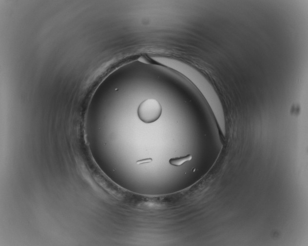 X0000112410352200908211127