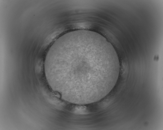 X0000112410355200908211127