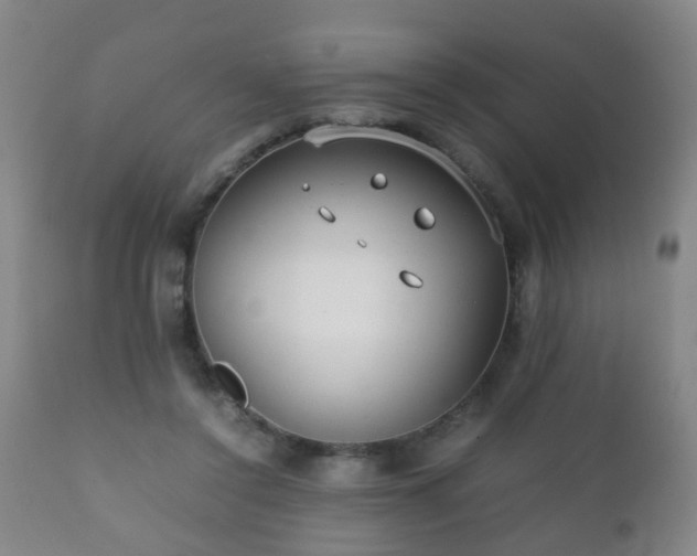 X0000112410356200908211127