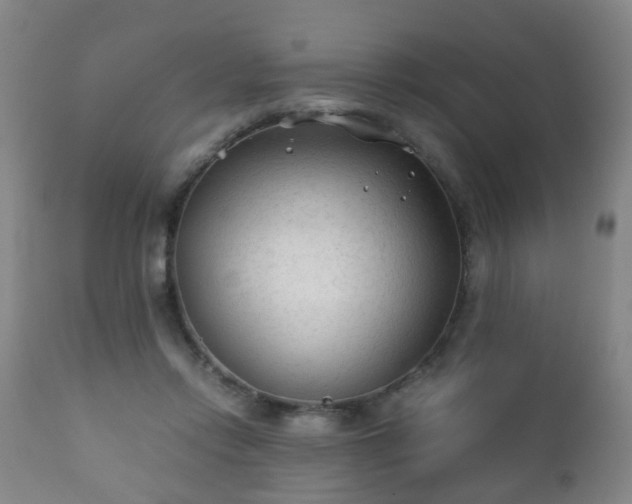 X0000112410358200908211127