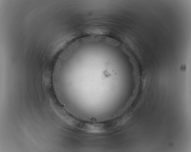 X0000112410359200908211128