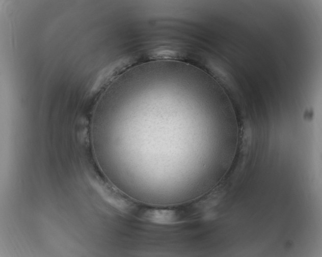 X0000112410361200908211128