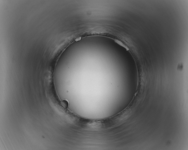 X0000112410362200908211128