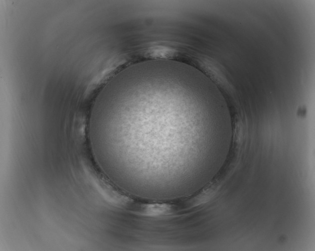 X0000112410363200908211128