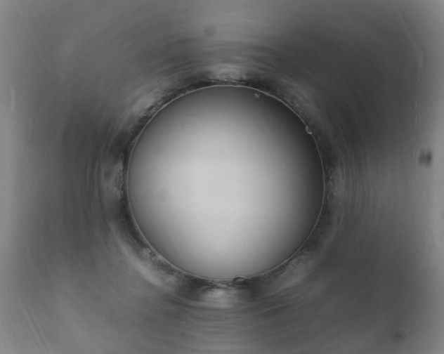 X0000112410364200908211128