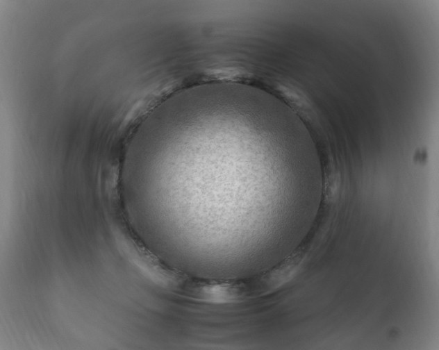 X0000112410365200908211128