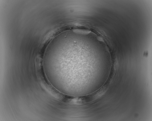 X0000112410366200908211128