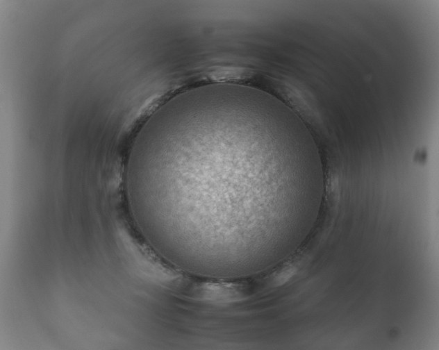 X0000112410367200908211128