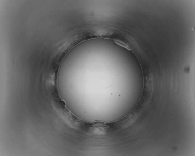 X0000112410368200908211128