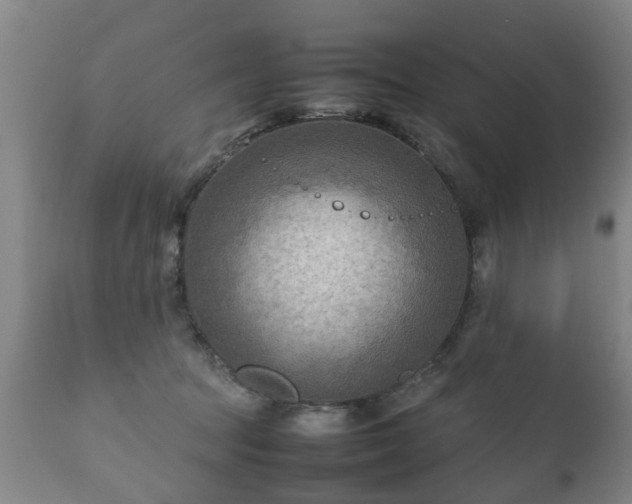 X0000112410369200908211128