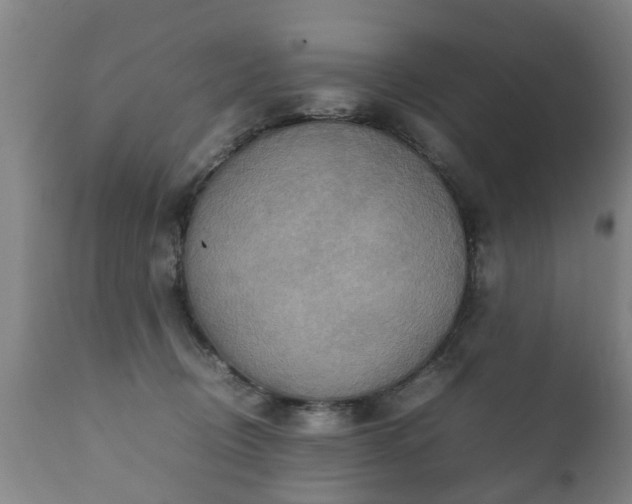 X0000112410370200908211128