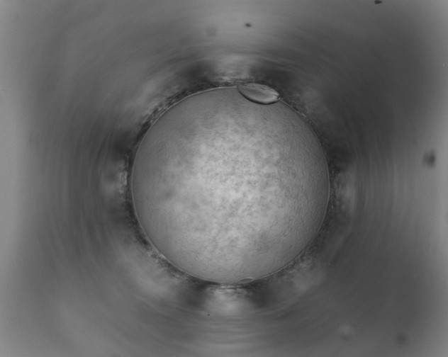X0000112410372200908211128