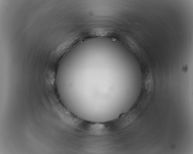 X0000112410374200908211128