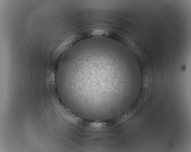 X0000112410375200908211128