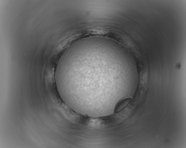 X0000112410376200908211128