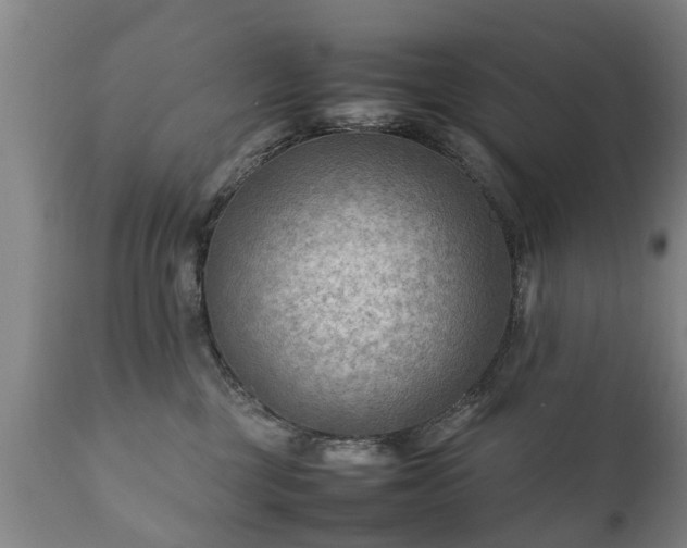 X0000112410377200908211128