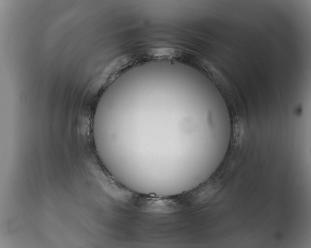 X0000112410379200908211128