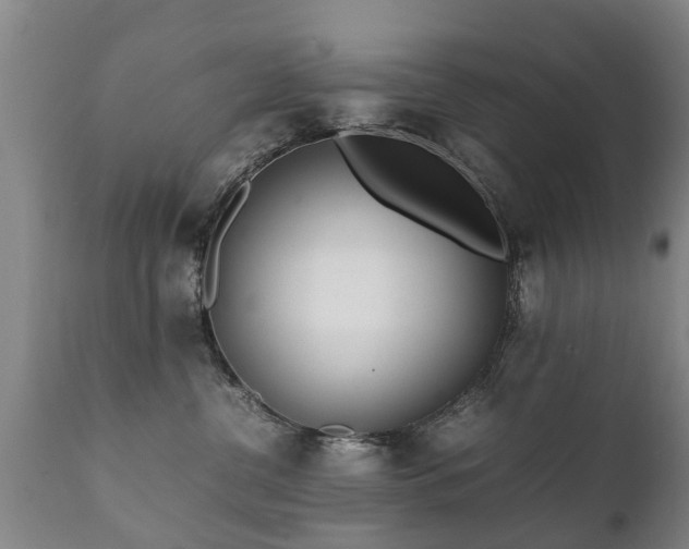 X0000112410380200908211128