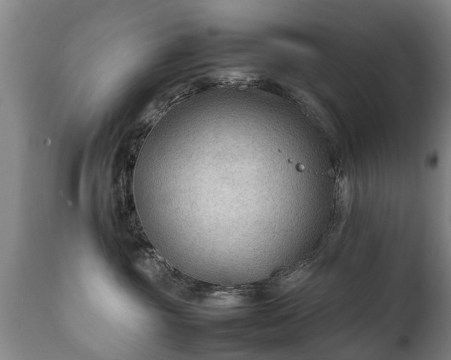 X0000112410381200908211128