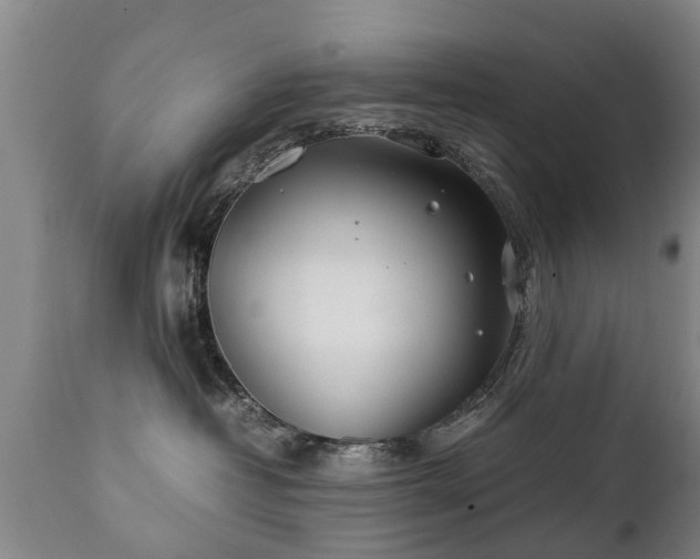 X0000112410382200908211128
