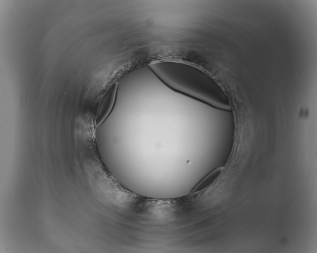 X0000112410384200908211128