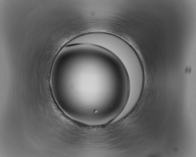 X0000112410385200908211127