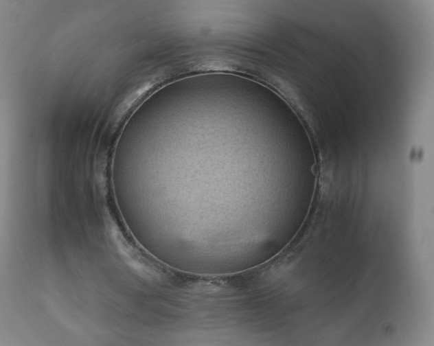 X0000112410386200908211127