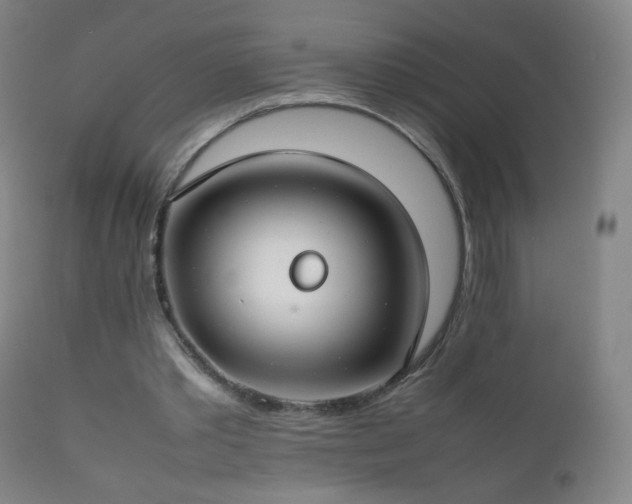 X0000112410389200908211127