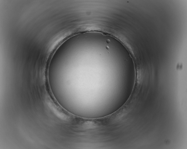 X0000112410390200908211127