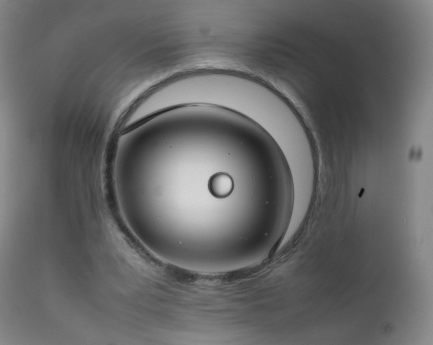 X0000112410391200908211127