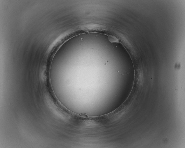 X0000112410392200908211127