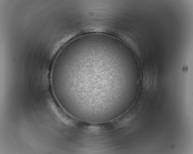 X0000112410394200908211127