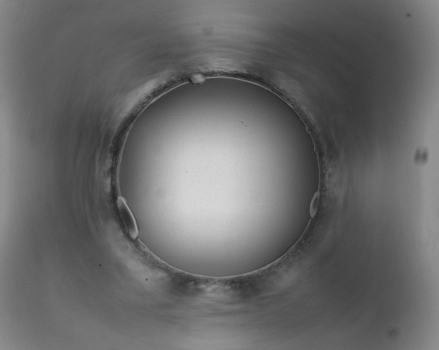 X0000112410395200908211127