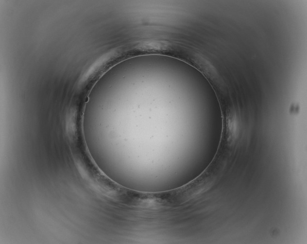 X0000112410396200908211127
