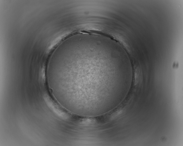 X0000112410398200908211127