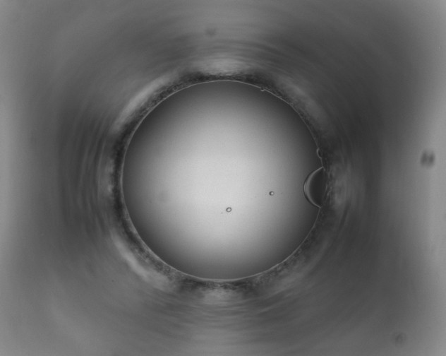 X0000112410400200908211127