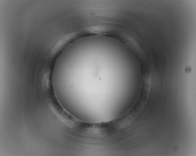 X0000112410404200908211127