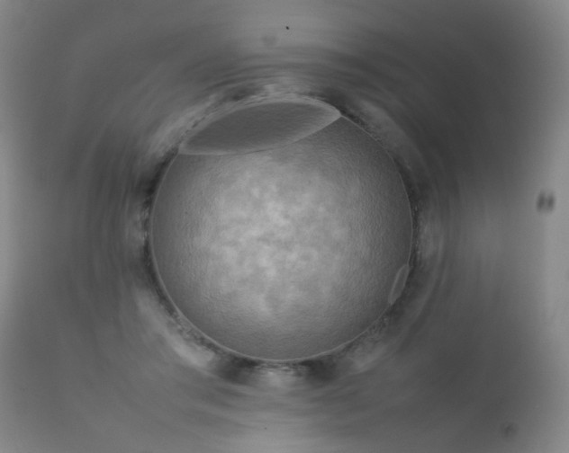 X0000112410405200908211127