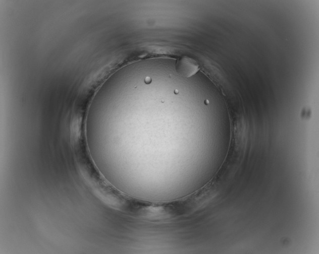 X0000112410406200908211127