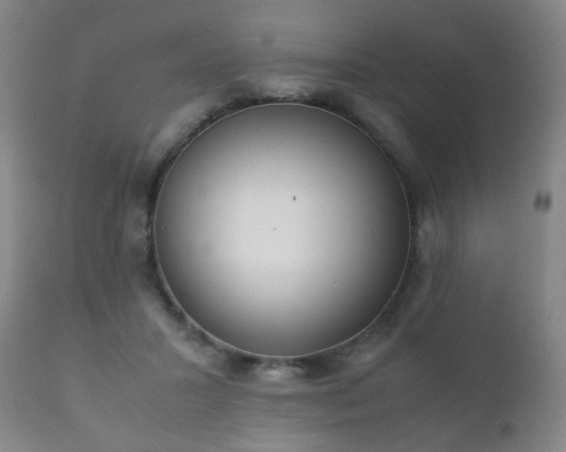 X0000112410407200908211127