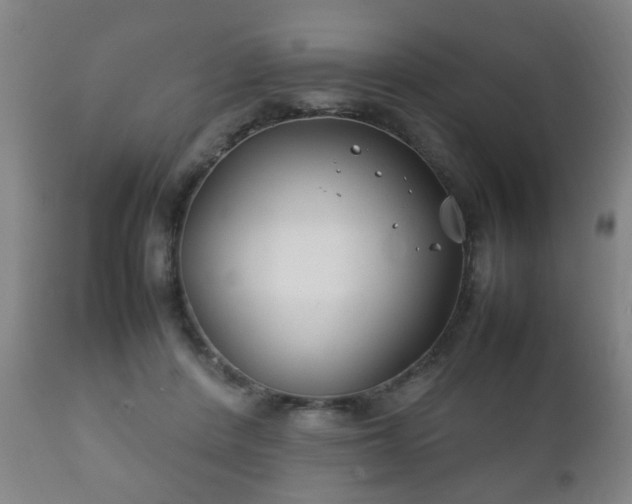 X0000112410408200908211127