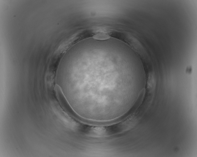 X0000112410409200908211127