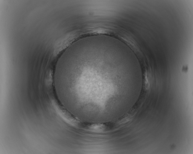 X0000112410410200908211127