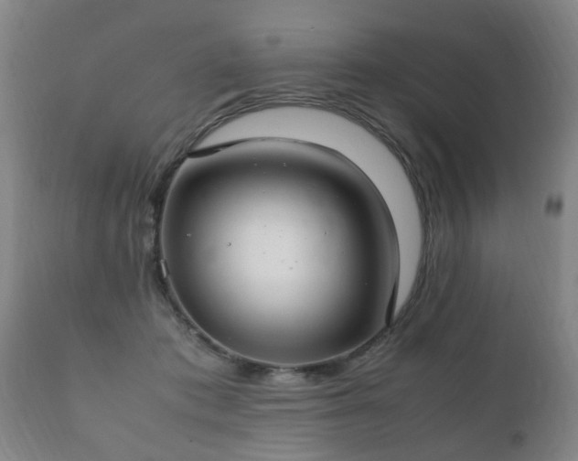 X0000112410413200908211127