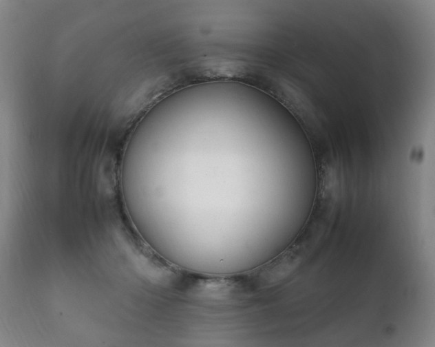 X0000112410414200908211127
