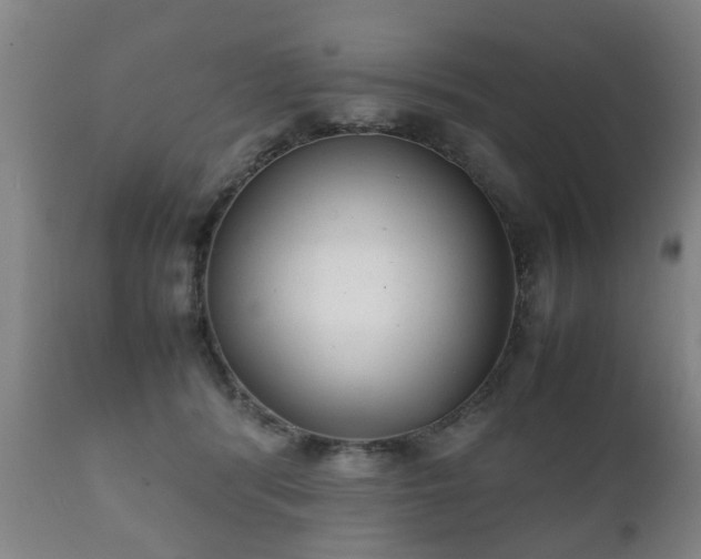X0000112410416200908211127