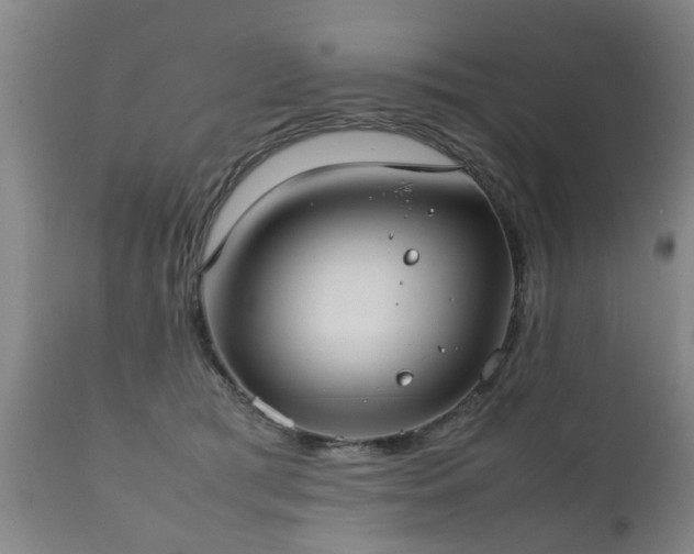 X0000112410417200908211127