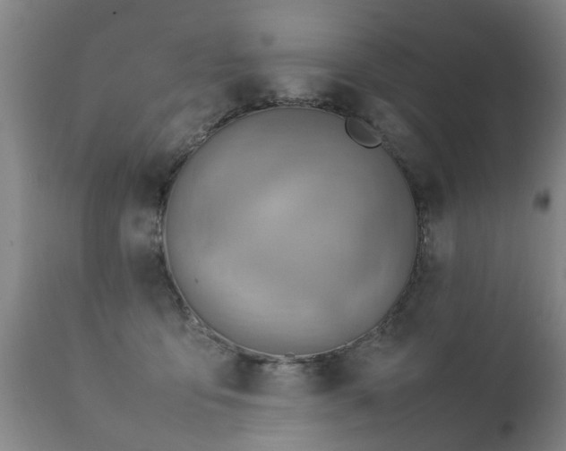 X0000112410419200908211127