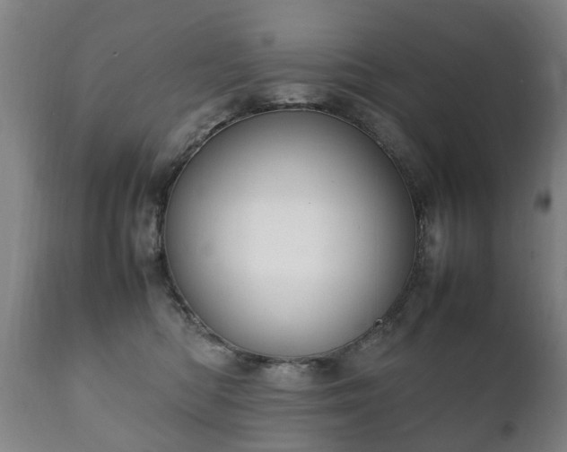 X0000112410422200908211127